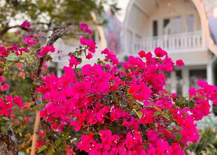 Hotel Mambo Toyapakeh